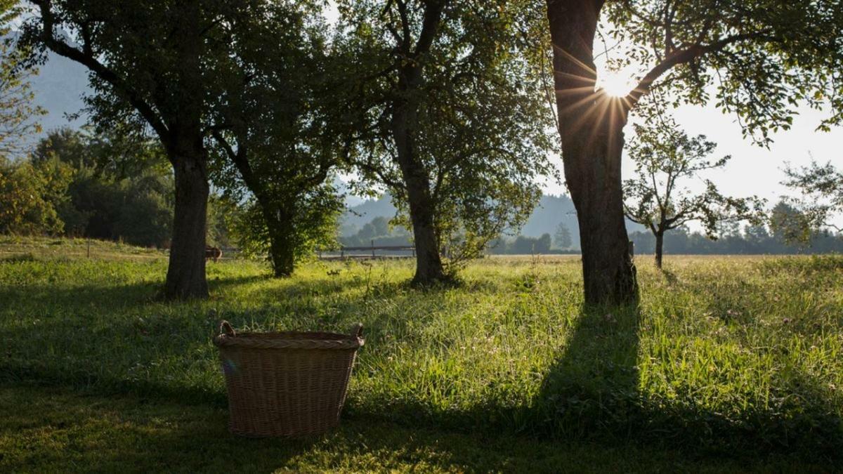 Bauernhof Lindenhof Bed and Breakfast Scheffau am Wilden Kaiser Exteriör bild